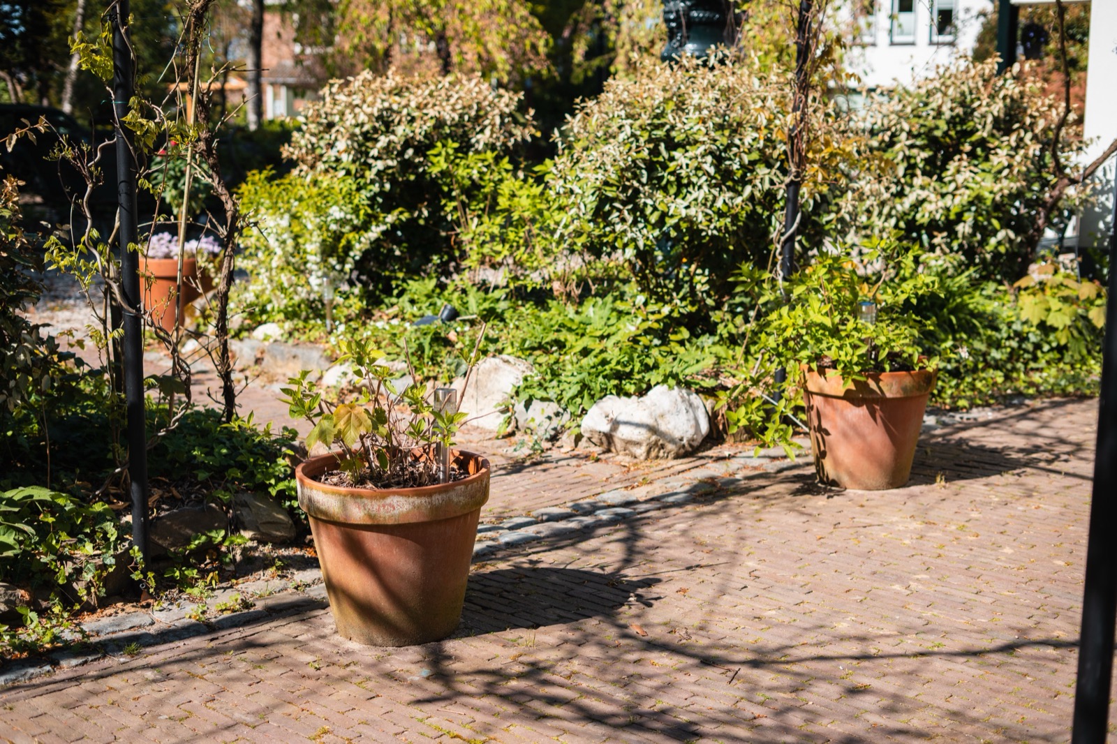 Tuin met plantenbakken
