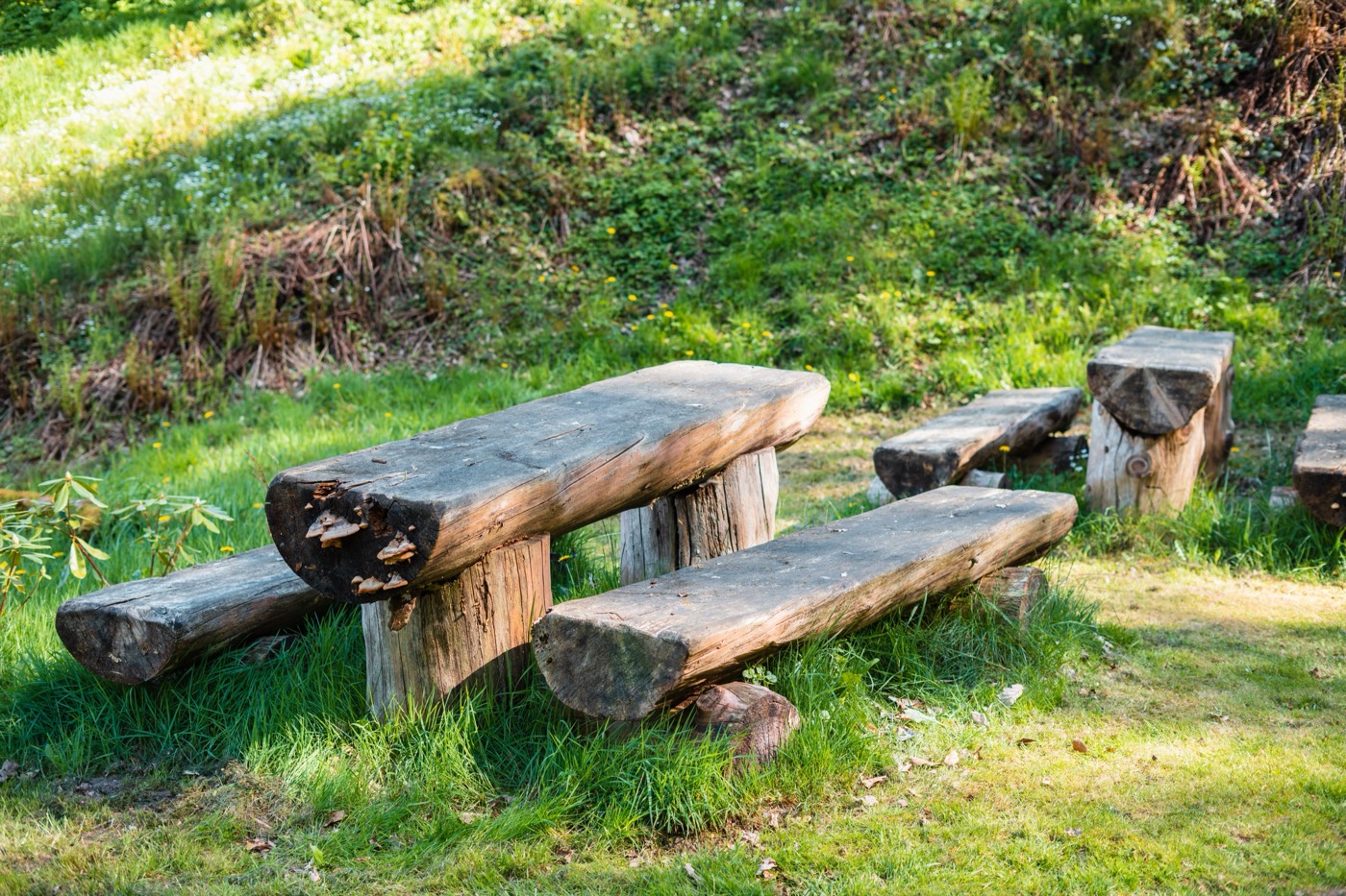 Het glooiende natuurlandschap rondom Villa de Musschenberg